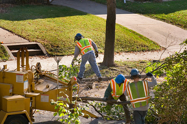 Best Firewood Processing and Delivery  in Midway North, TX